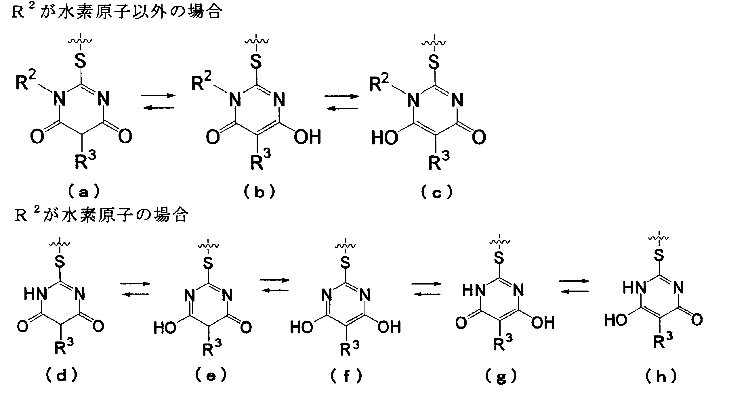Figure JPOXMLDOC01-appb-C000023