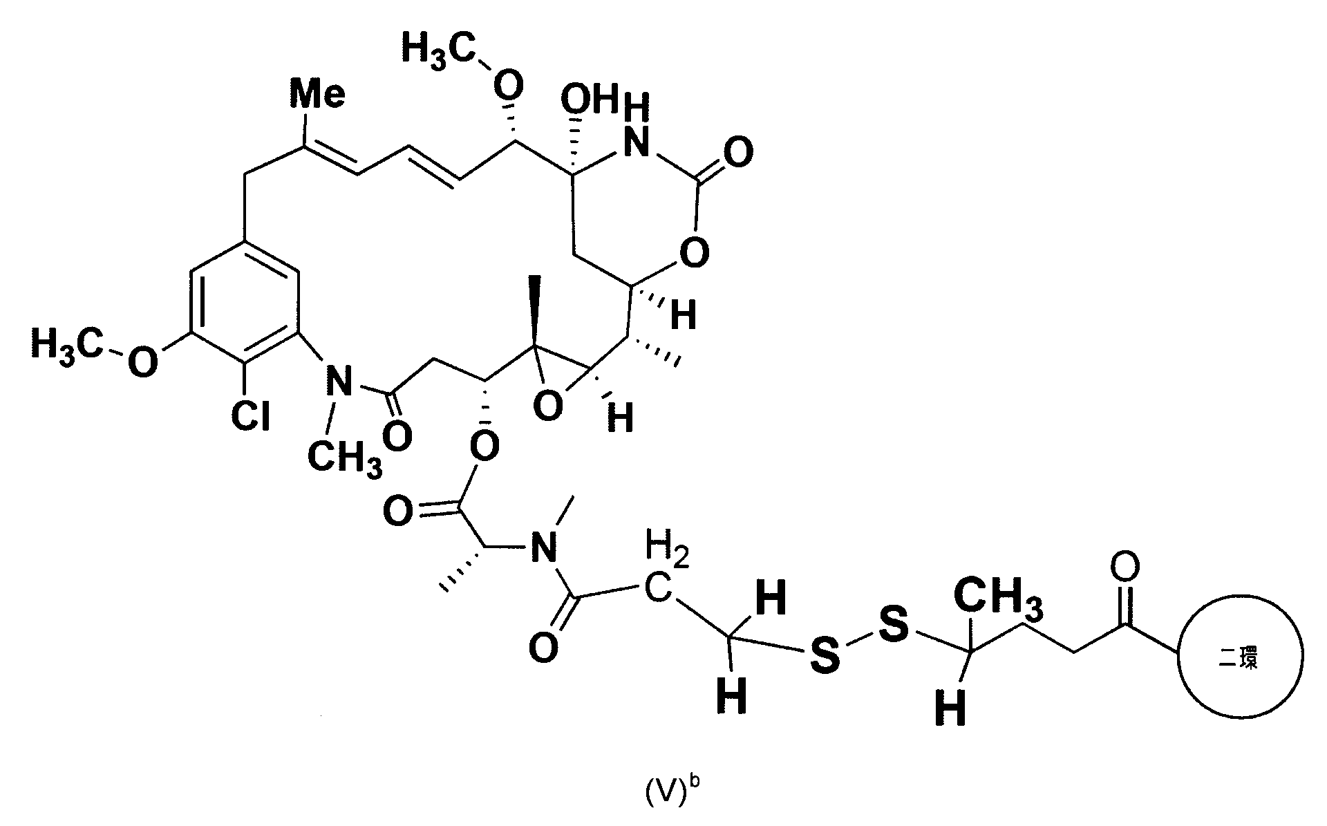 Figure 0007116217000008