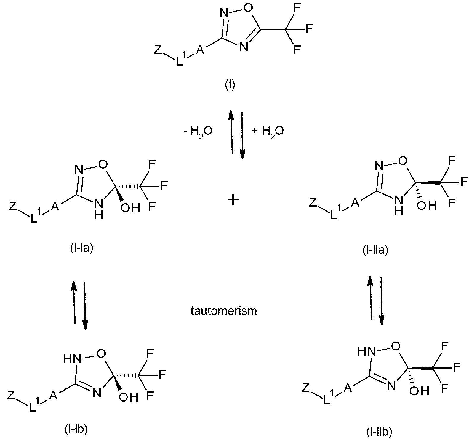 Figure imgf000010_0001