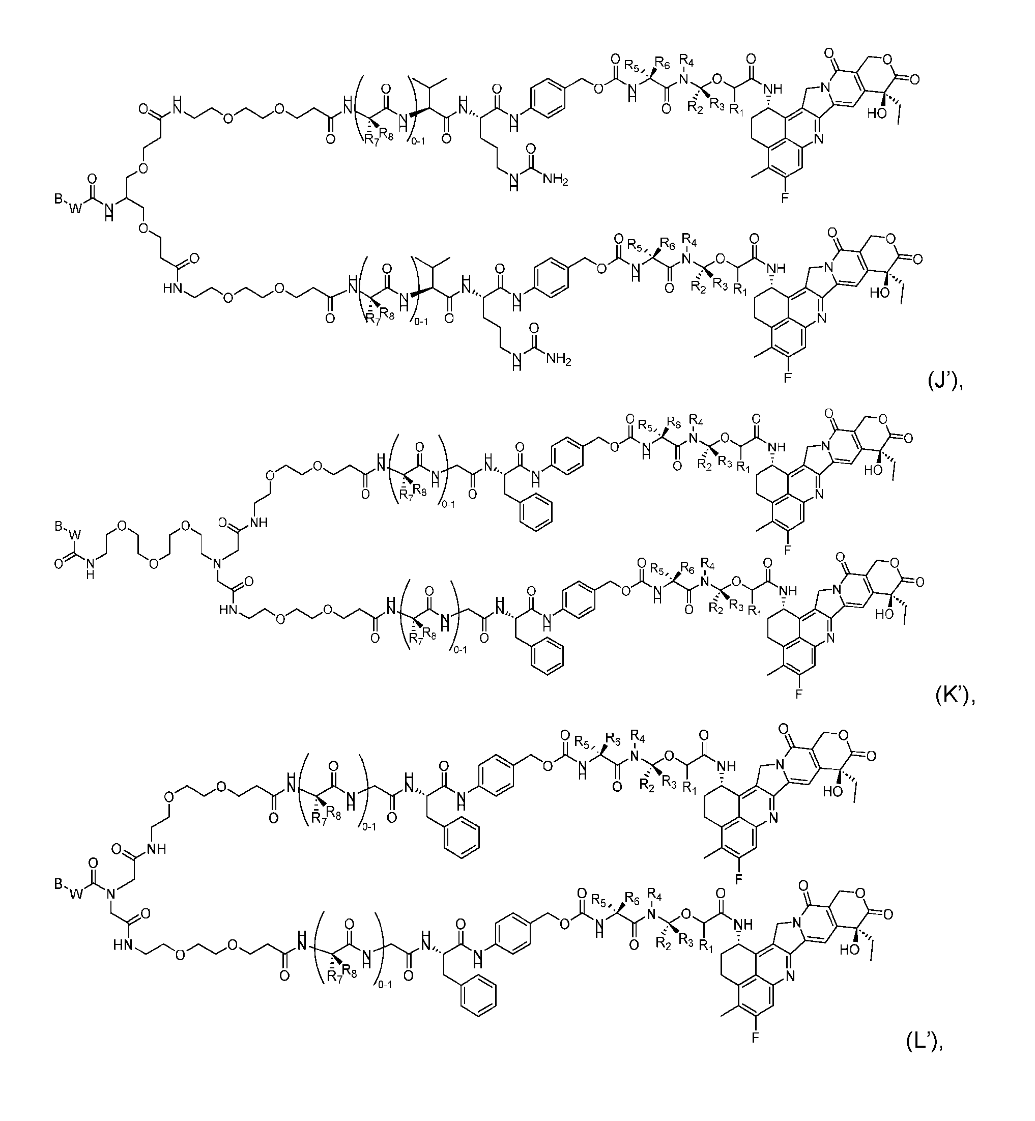 Figure imgf000091_0001