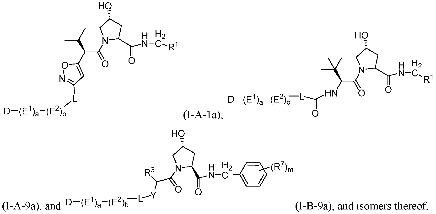Figure imgf000045_0002