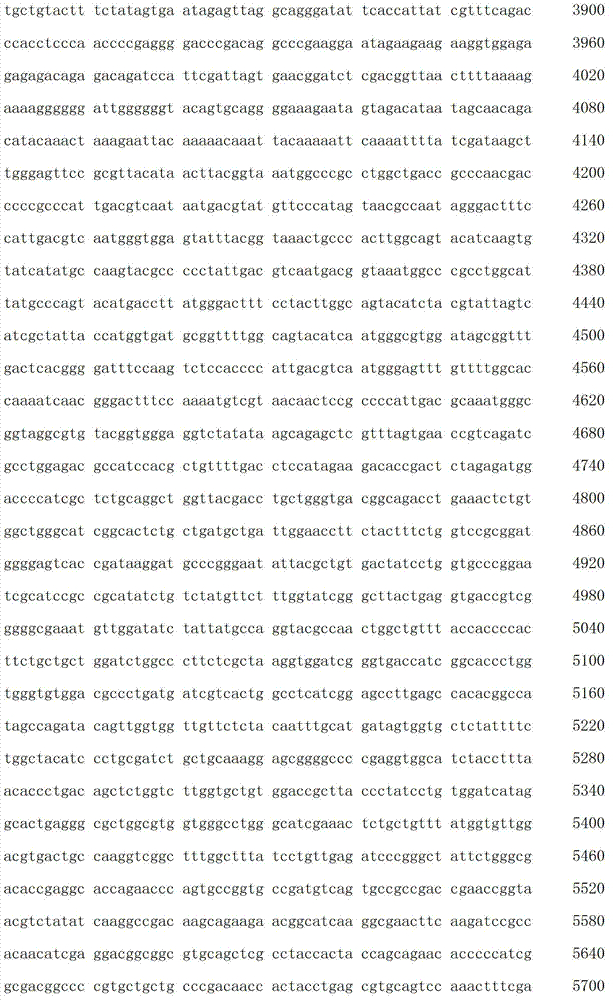 Figure IDA00003076741800601