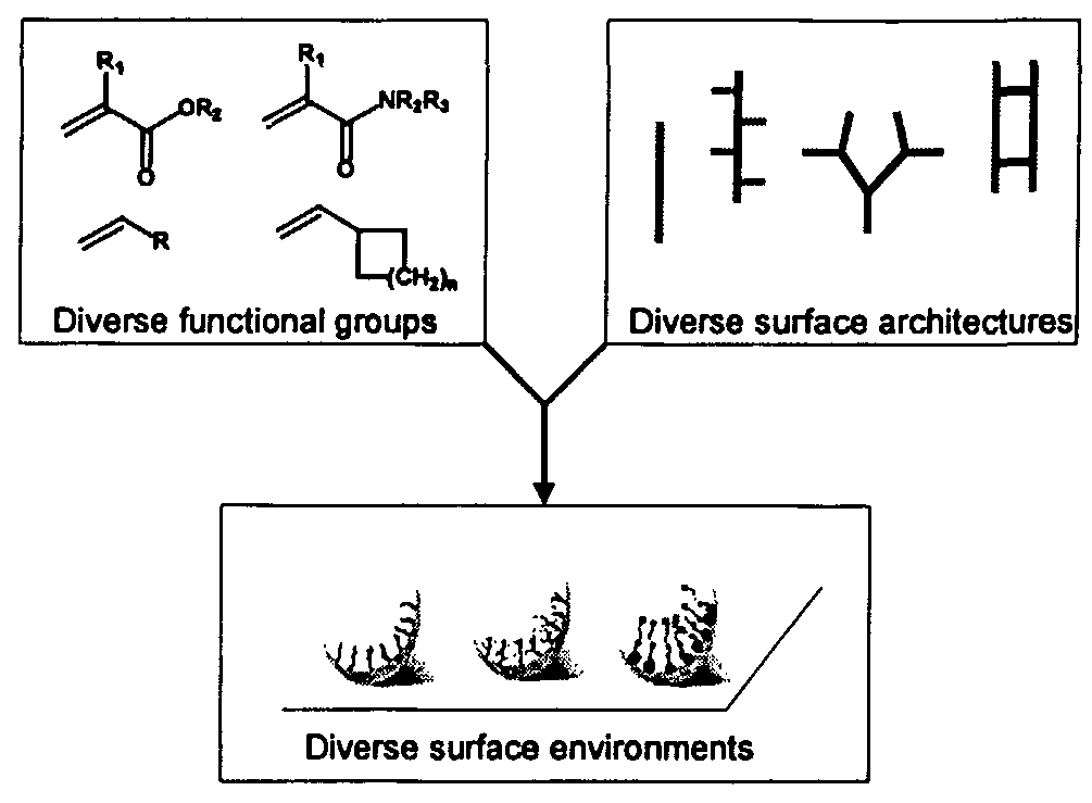 Figure imgf000026_0001