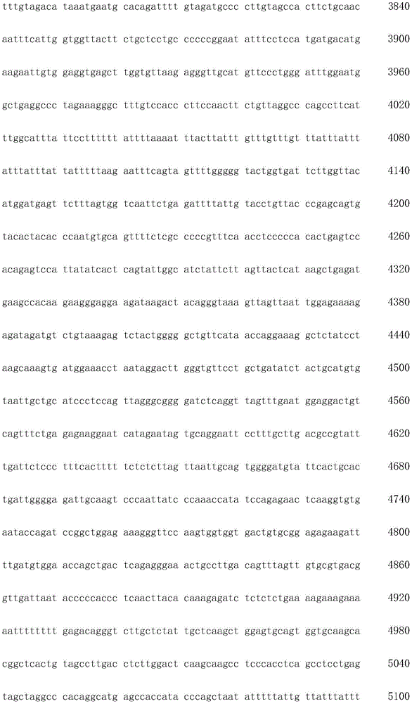 Figure IDA0003936212790000961