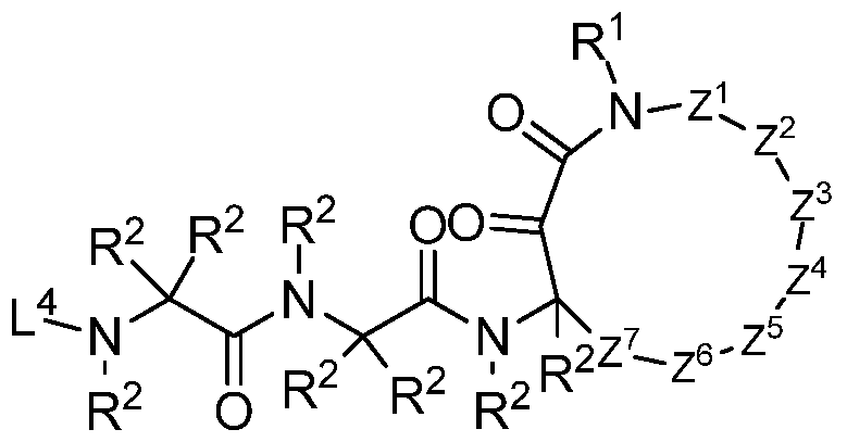 Figure imgf000387_0001
