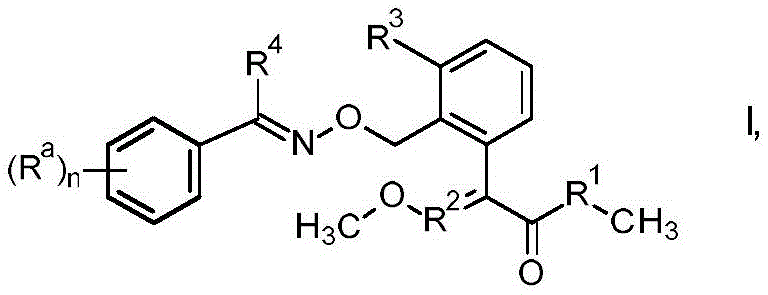 Figure FDA0003914530930000011