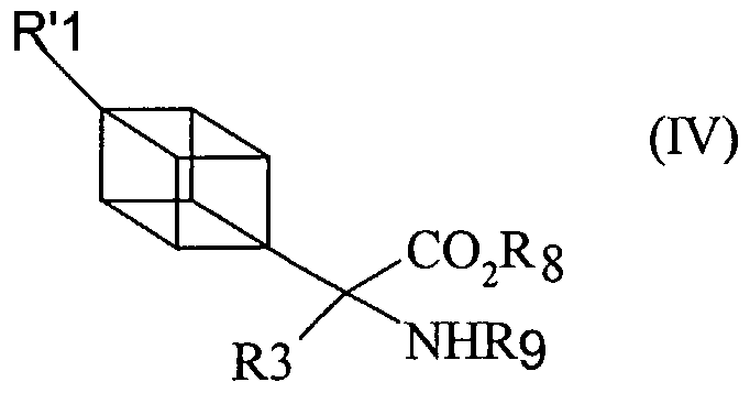 Figure imgf000009_0002
