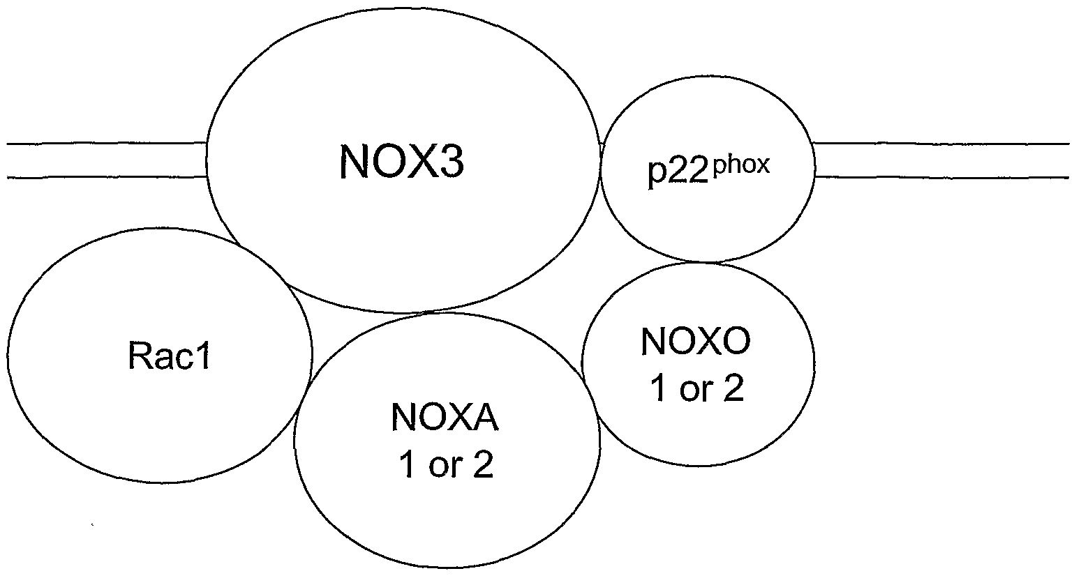 Figure imgf000009_0001