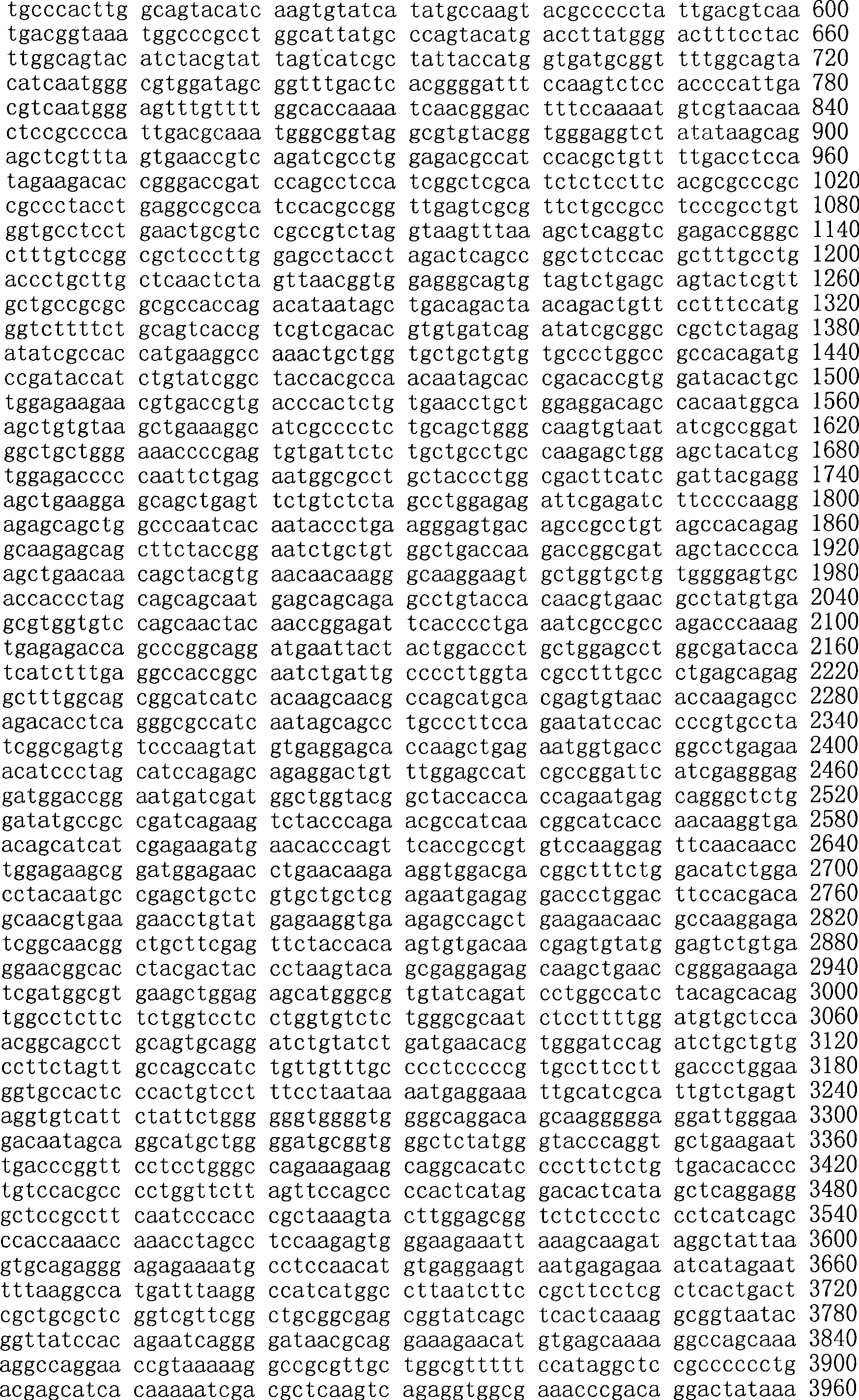 Figure A200780009494D01571