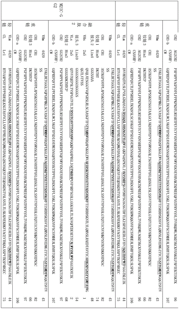 Figure BDA0002336612250001001