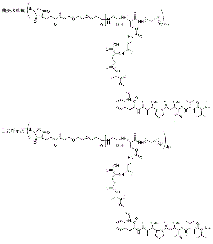 Figure BDA0003135424430001841