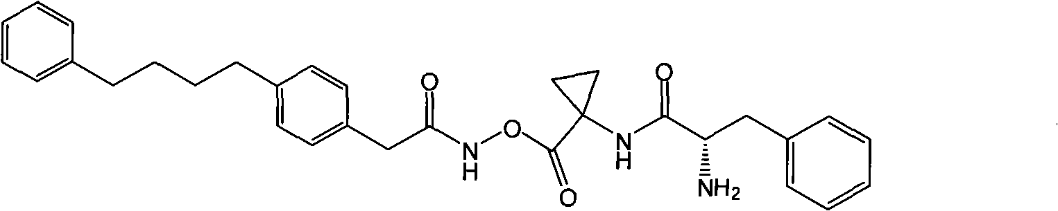 Figure G2007800515415D01331