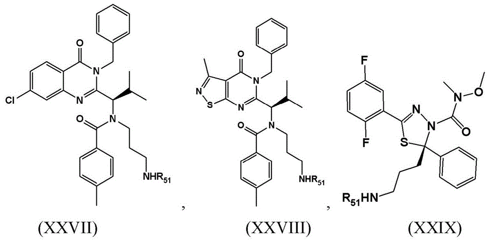 Figure BDA0003135424430001352