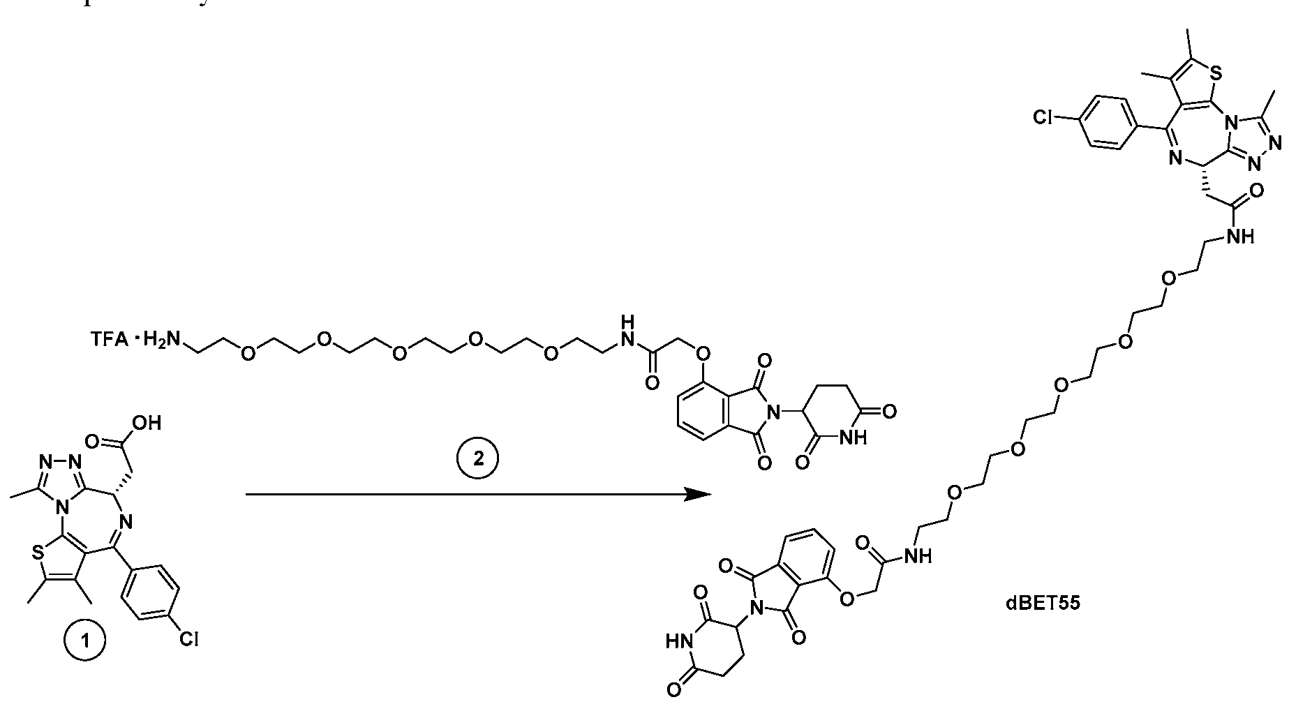 Figure imgf000309_0001