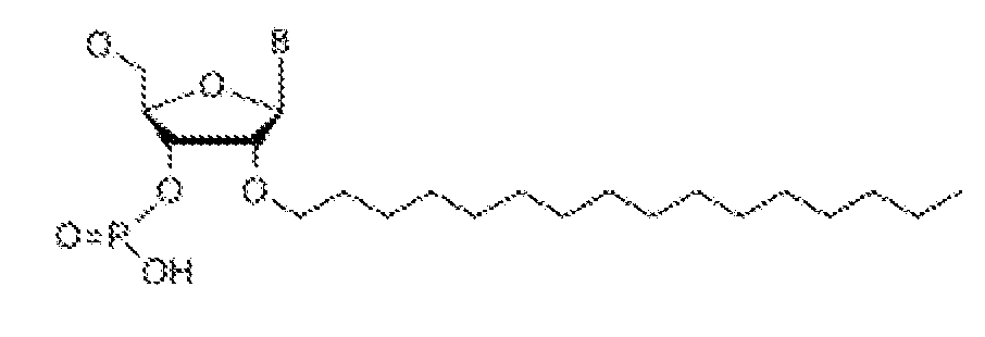 Figure imgf000008_0002