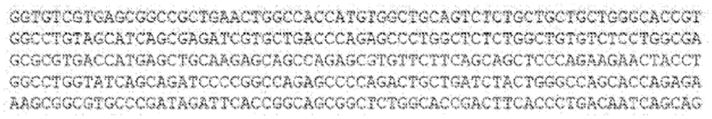 Figure BDA0001663560350000343