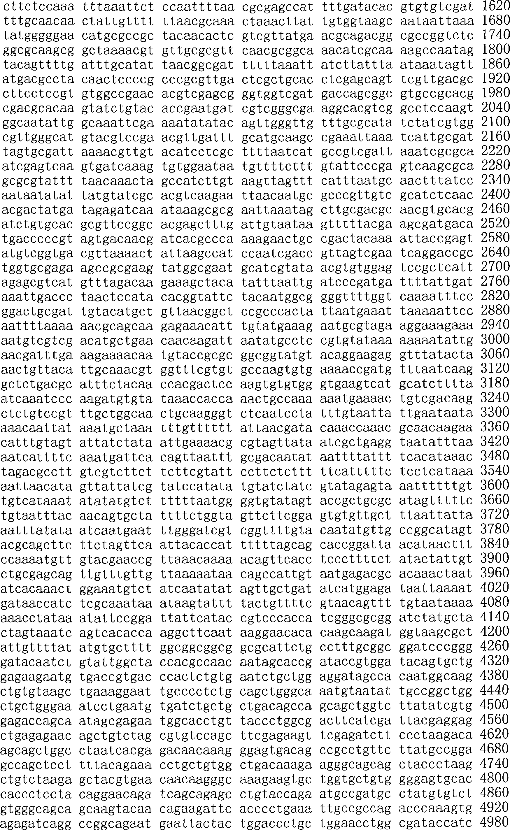 Figure A200780009494D03051