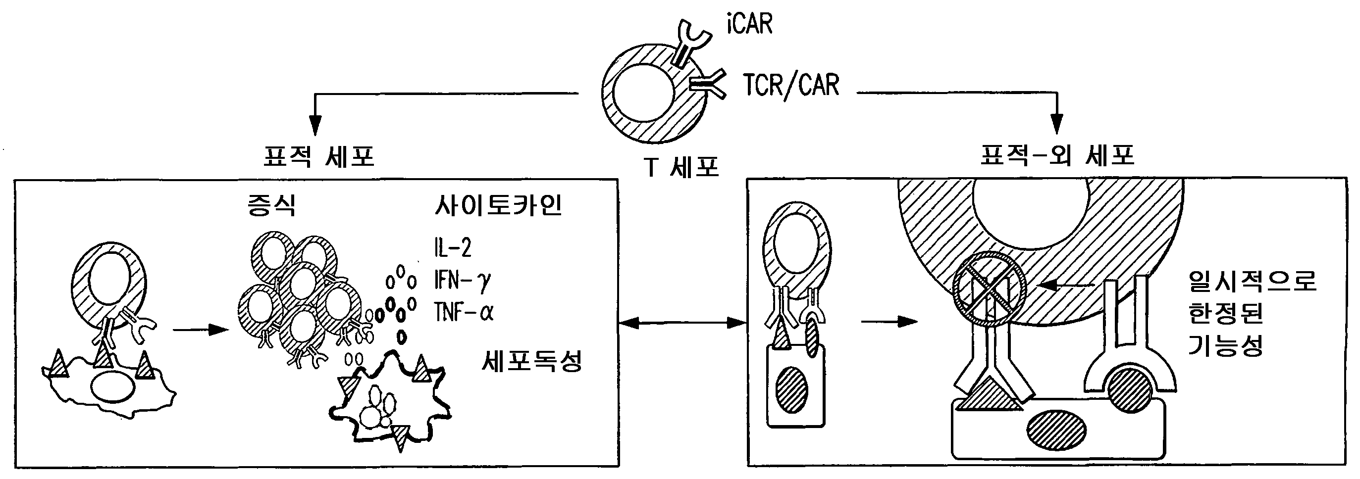 Figure R1020227002101