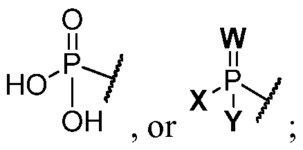 Figure imgf000005_0001