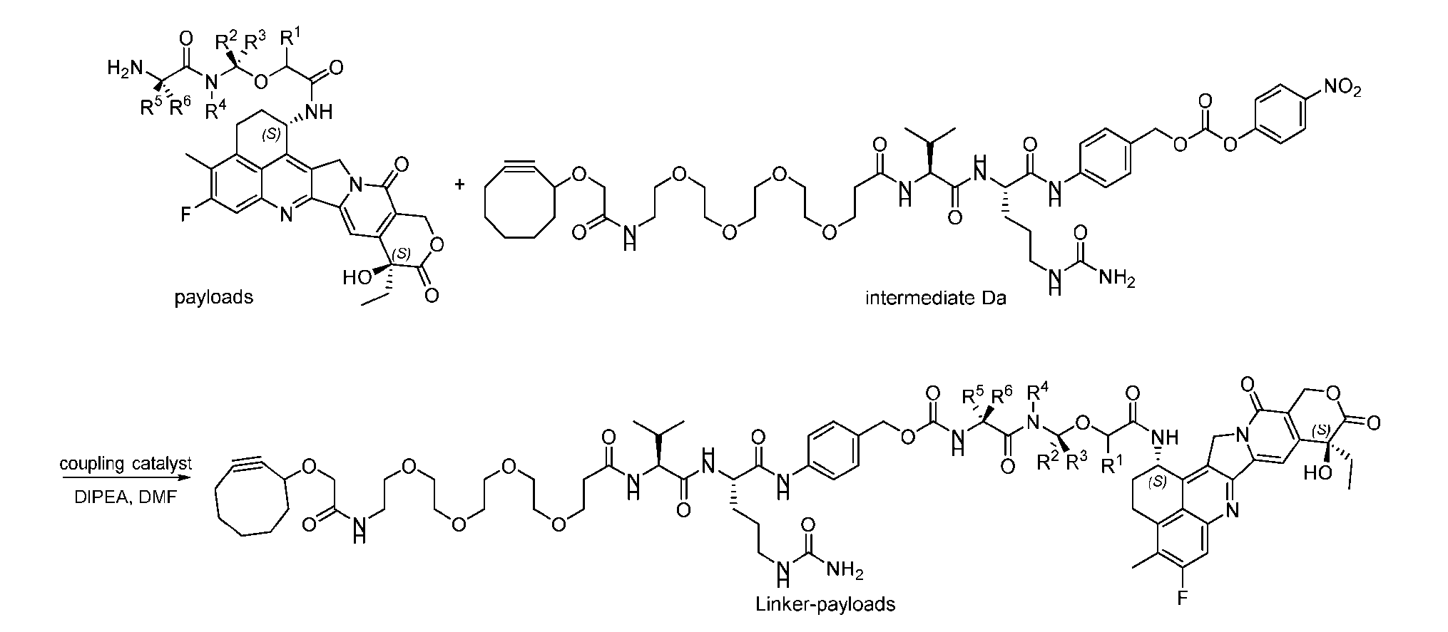 Figure imgf000166_0001