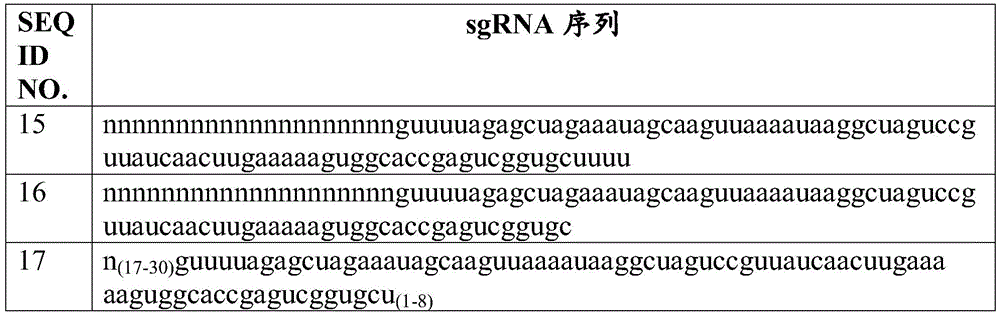 Figure BDA0002772276950000381