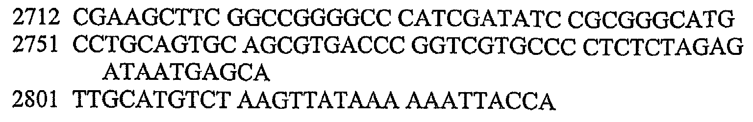 Figure 112005063127682-pct00011