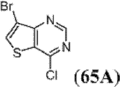 Figure BDA0000083236130002182