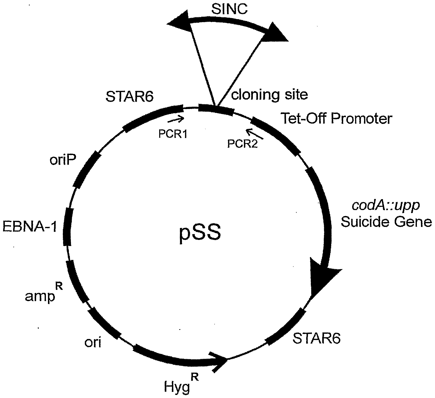 Figure imgf000159_0001
