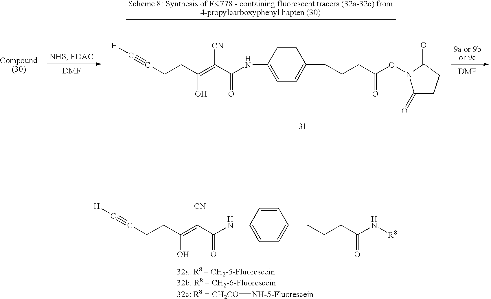 Figure US20070269841A1-20071122-C00014