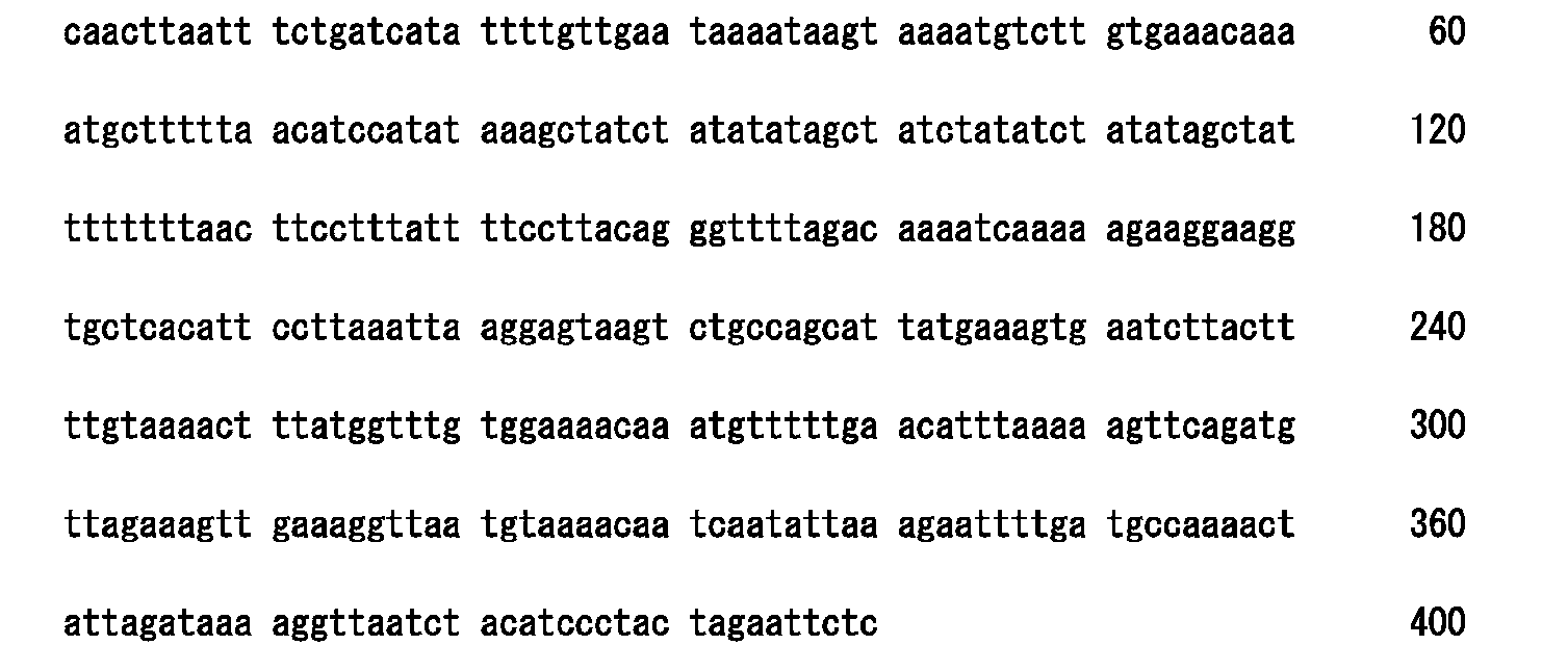Figure 109125028-A0305-02-0027-13