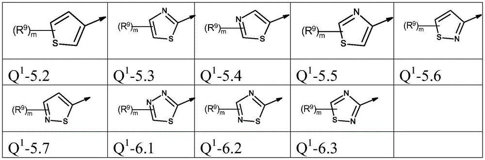 Figure FDA0003773017420000071