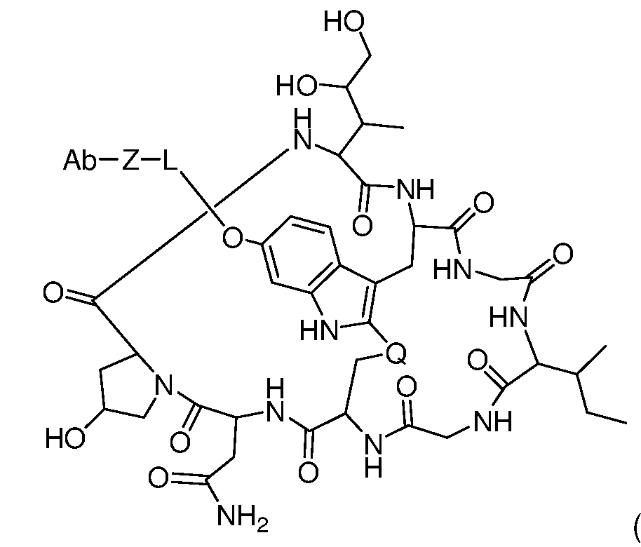 Figure imgf000009_0001
