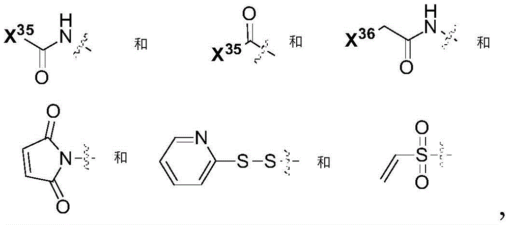 Figure GDA0002483706190001611