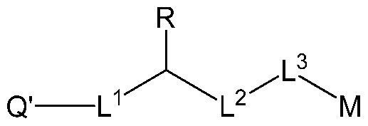 Figure imgf000005_0001