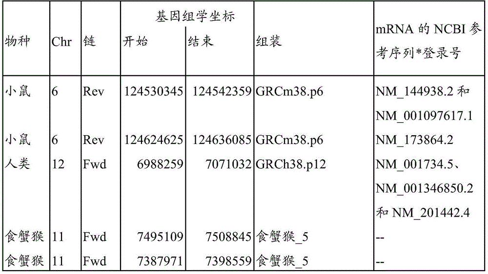 Figure BDA0003936212750000151