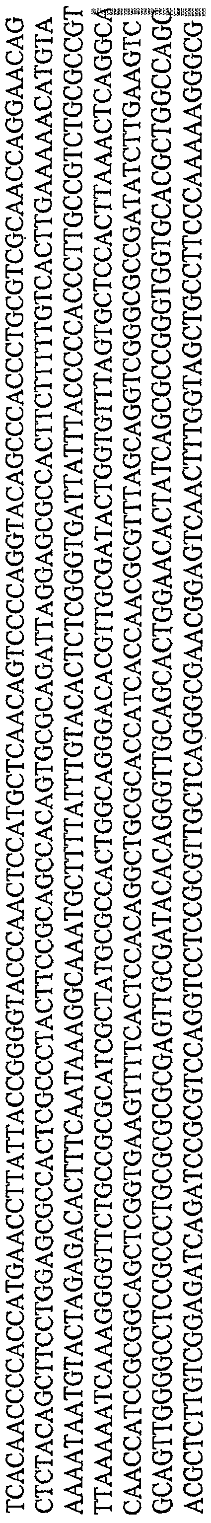 Figure imgf000032_0003