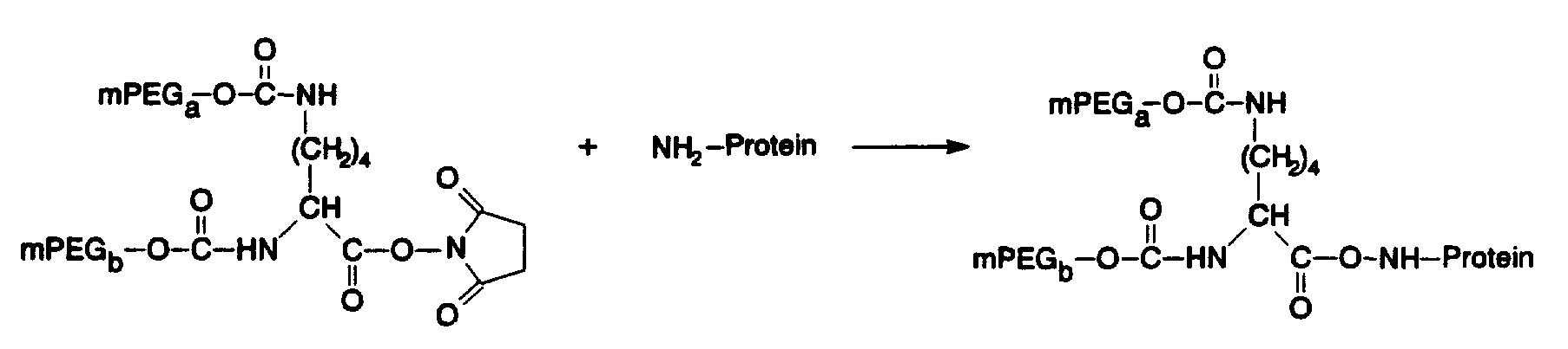 Figure imgf000057_0001
