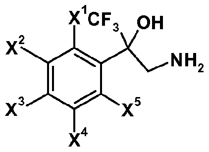 Figure imgf000075_0002