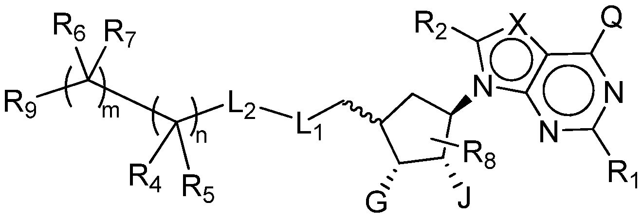 Figure imgf000004_0001
