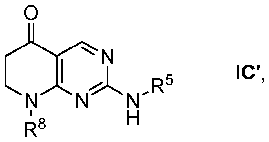Figure imgf000024_0004