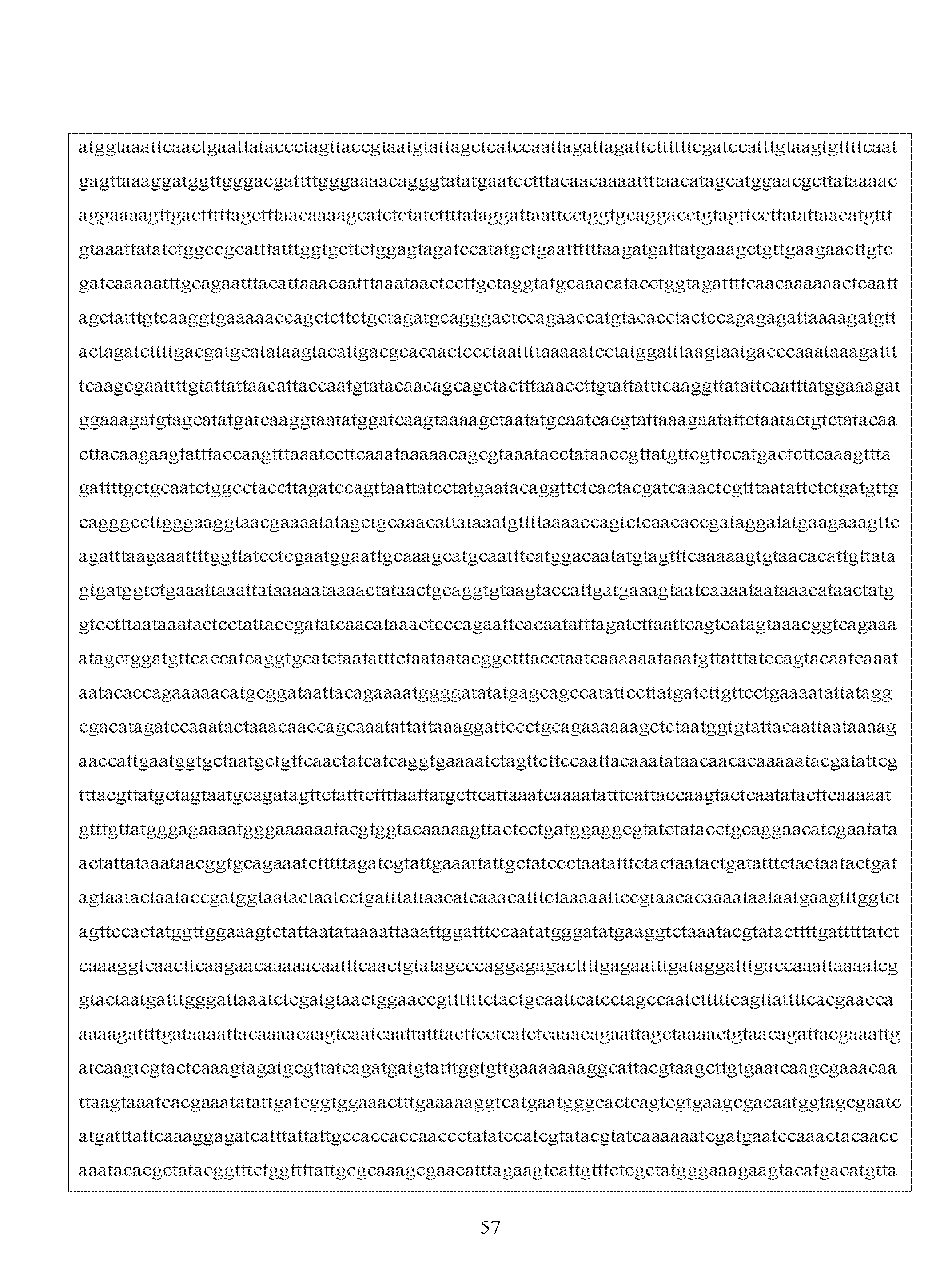 Figure imgf000059_0001