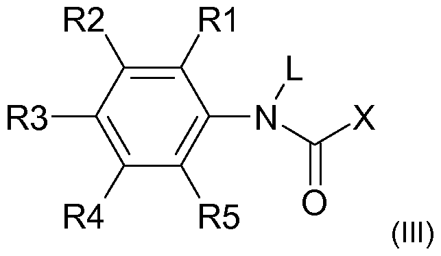Figure imgf000006_0001