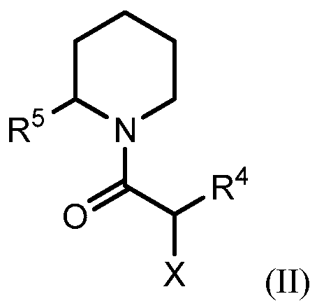 Figure imgf000010_0002