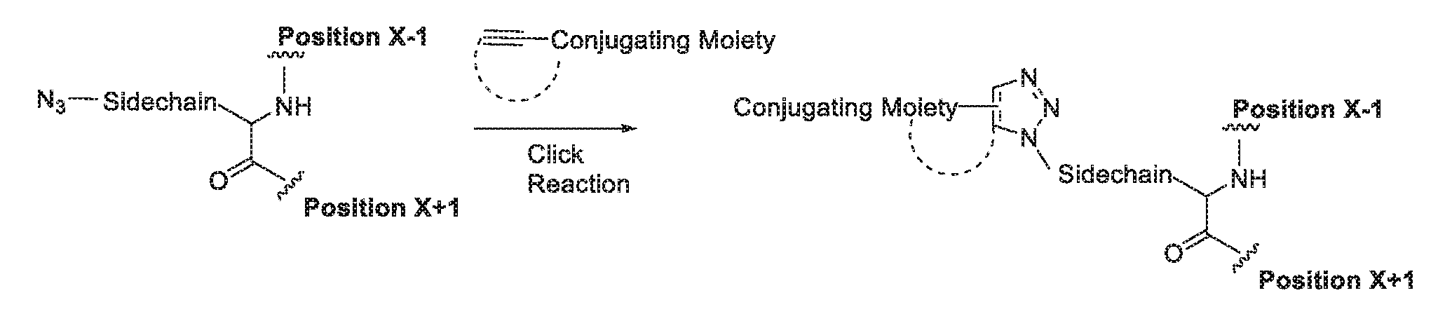Figure imgf000118_0002