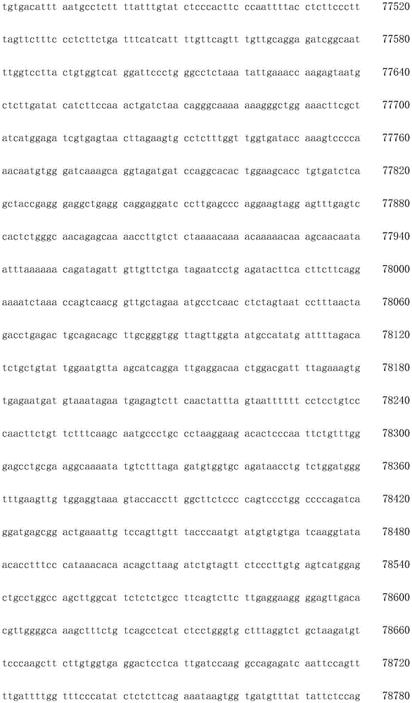 Figure IDA0003936212790001601