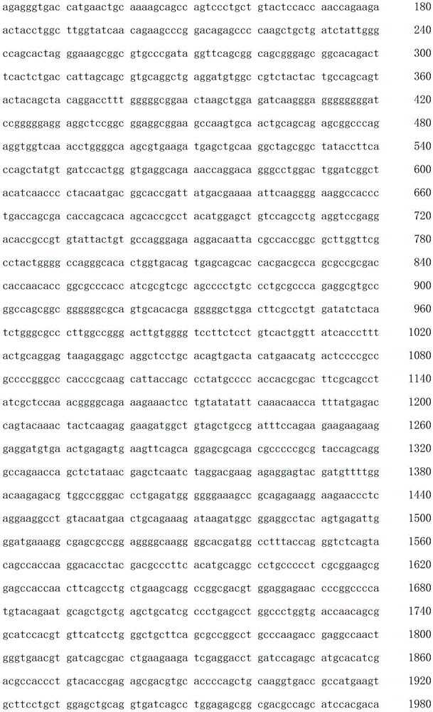 Figure IDA0001542153210000051