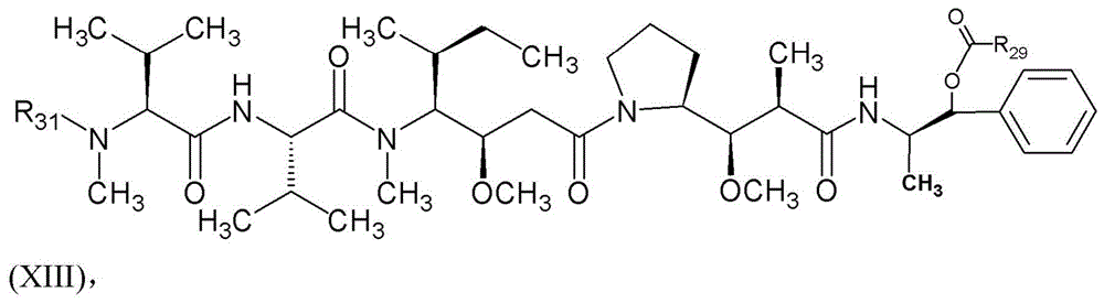 Figure BDA0003135424430001221