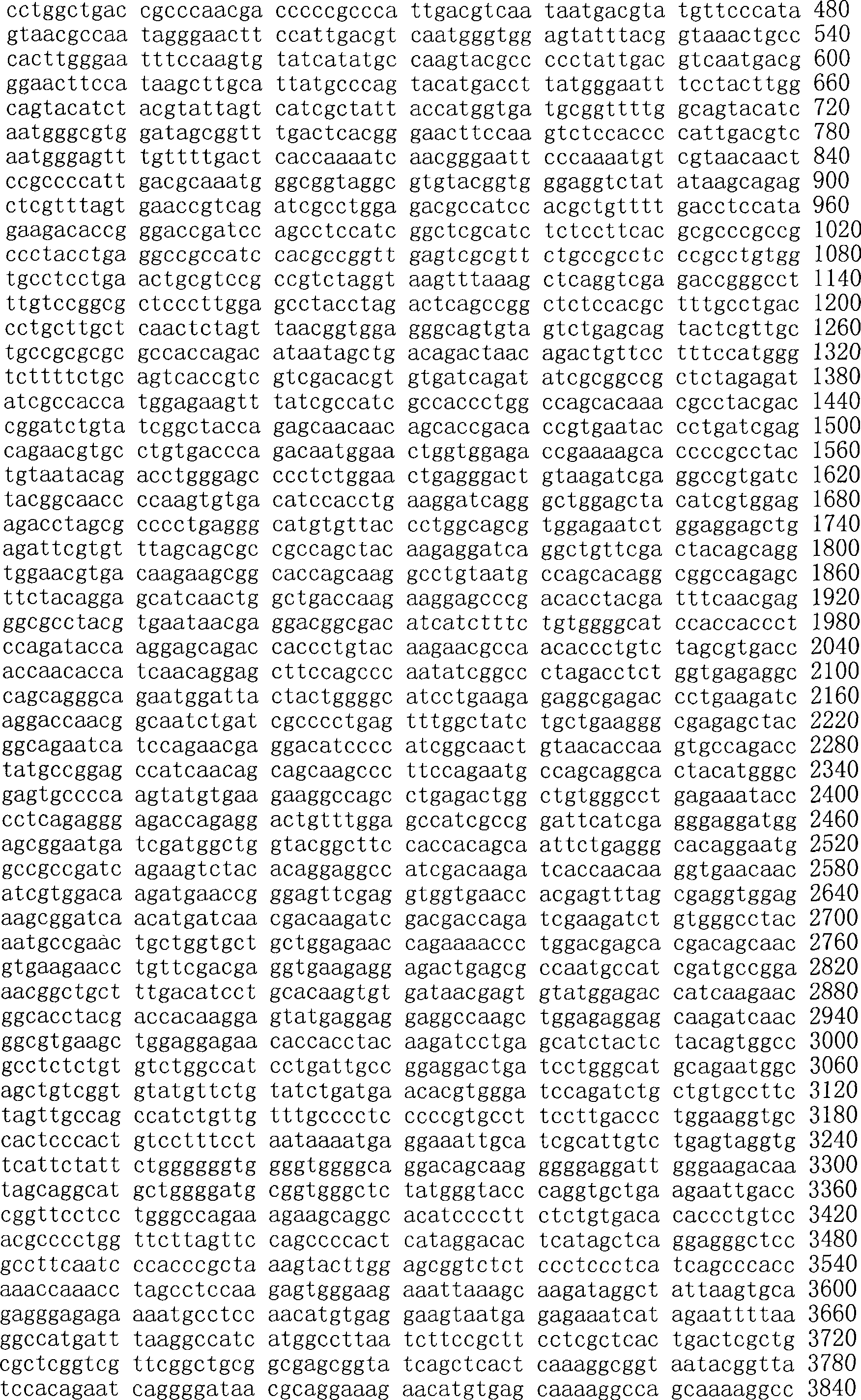 Figure A200780009494D03241