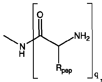 Figure imgf000078_0002