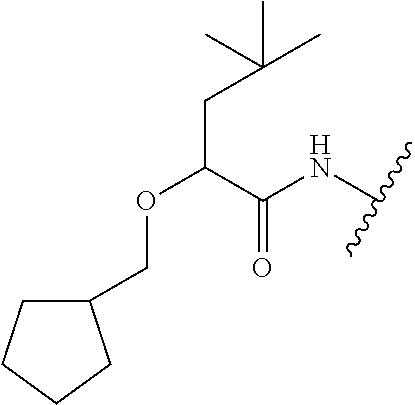 Figure US20100009966A1-20100114-C00190